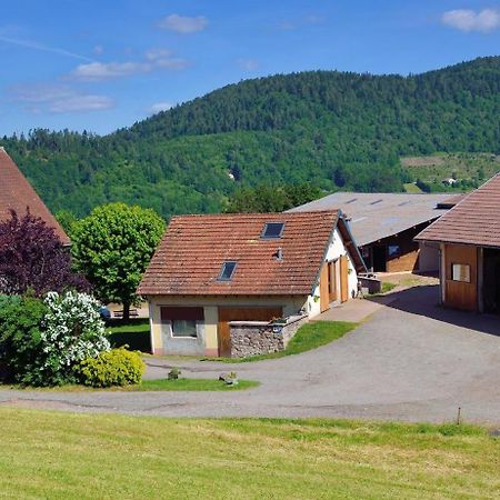 Chambres D'Hotes Hebergement F.Mathieu Saint-Maurice-sur-Moselle Exterior photo